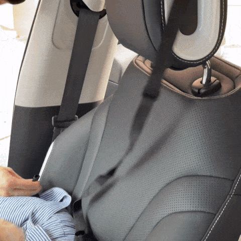 Car Booster Seat for Dogs