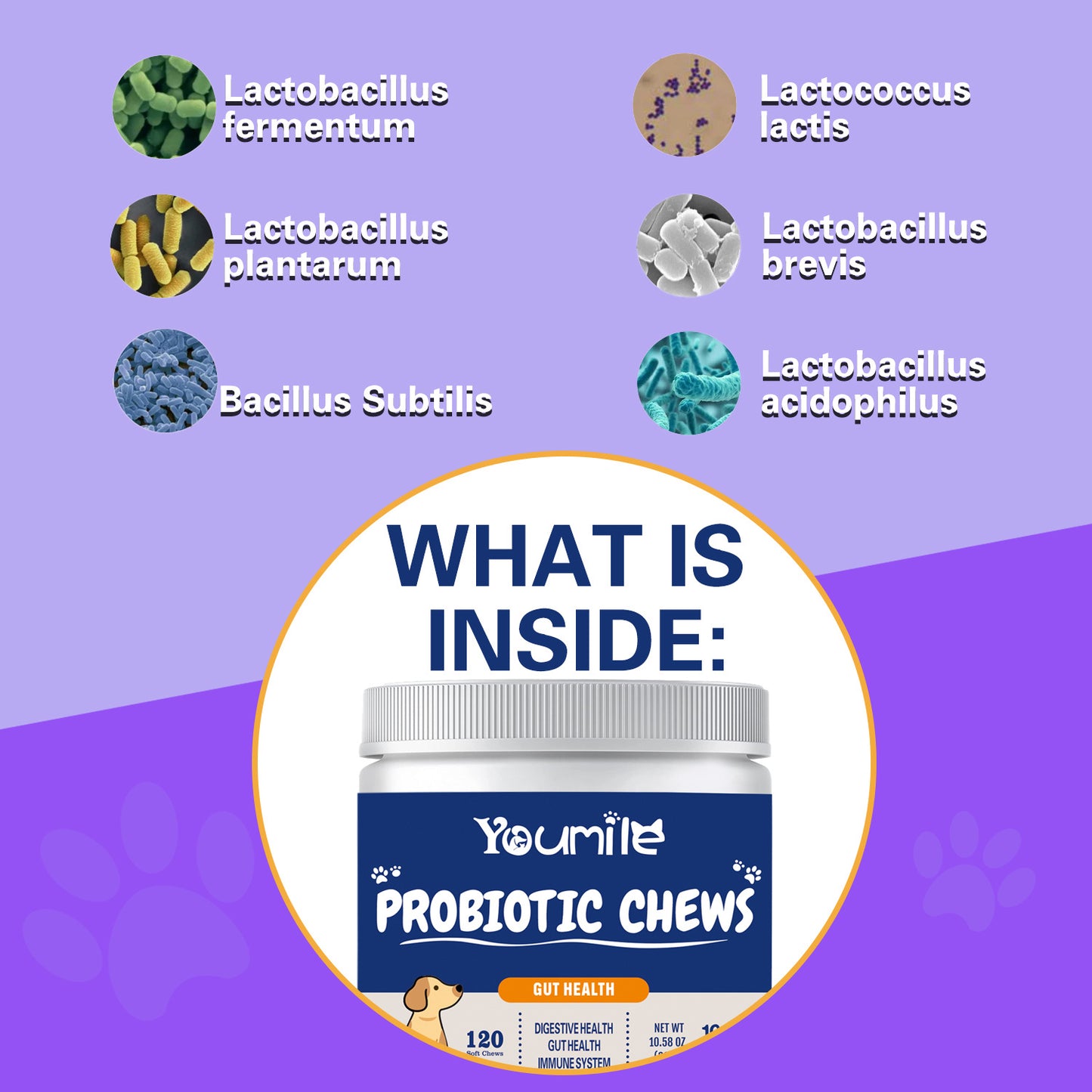 DigestEase Probiotic Chews for Dogs