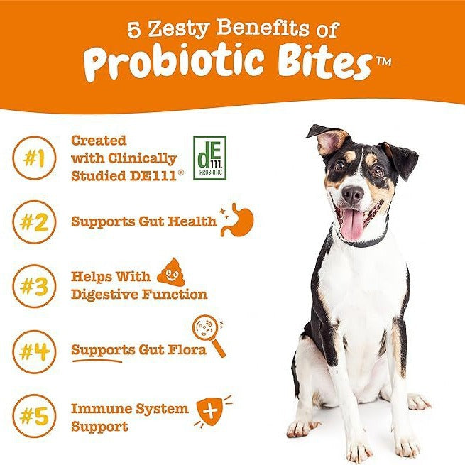 PawBiotic Digestive Probiotics for Dogs