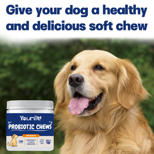 DigestEase Probiotic Chews for Dogs