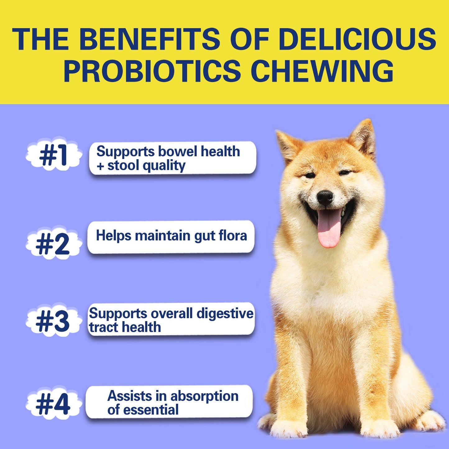 DigestEase Probiotic Chews for Dogs