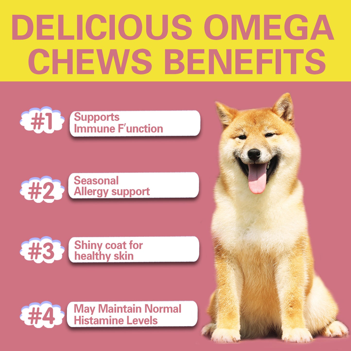 RadiantCoat Omega Chews for Skin & Fur Health