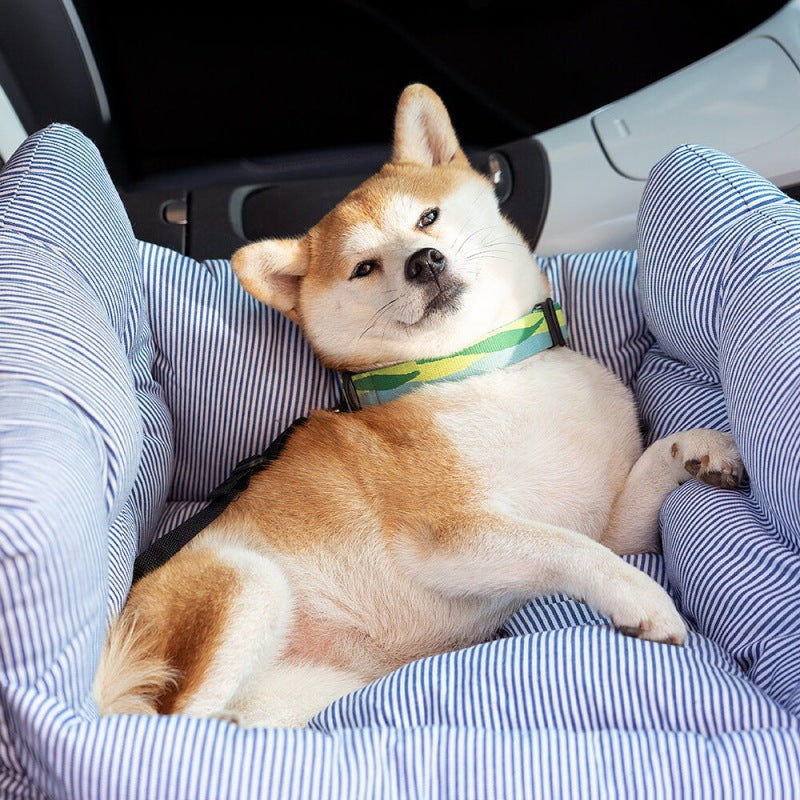 Car Booster Seat for Dogs